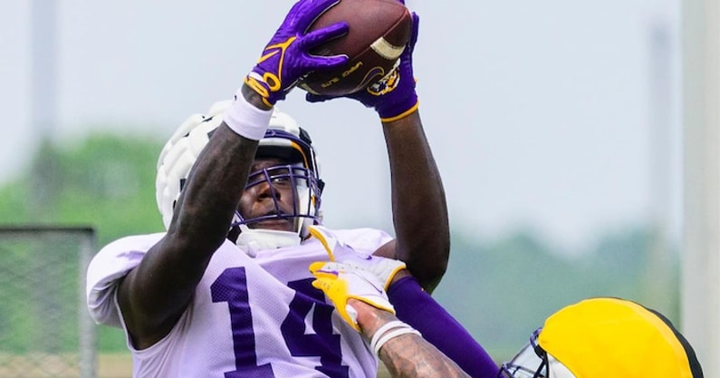 LSU freshman TE Trey'Dez Green (Photo: LSU Football)
